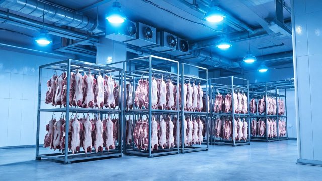 猪肉冷库日常维修清单：延长设备寿命的关键步骤