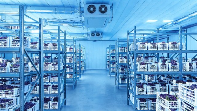 葡萄冷库除霜失败典型案例与解决方案