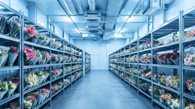 花卉冷库制冷效果差应急处理与预防措施