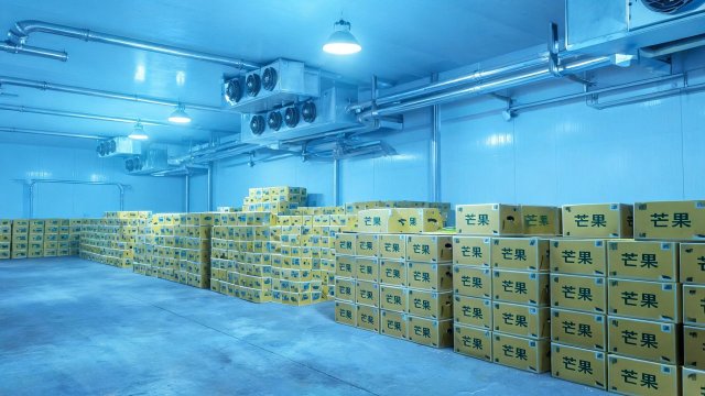 芒果冷库巡检规范与注意事项：一份给仓储管理员的实操指南