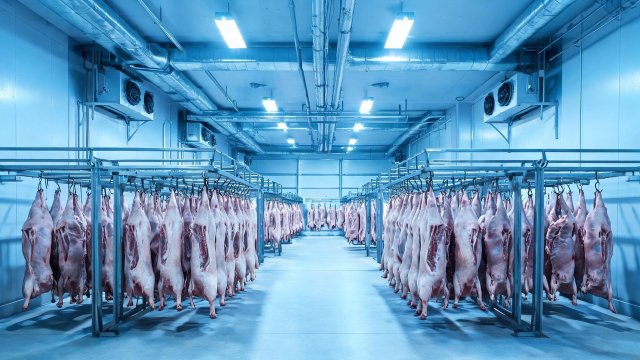猪肉冷库常见故障排查与维护要点