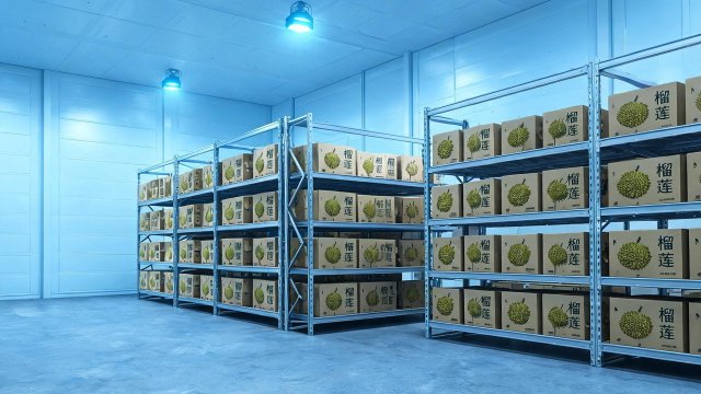 榴莲冷库年检怎么做？这份规范清单请收好