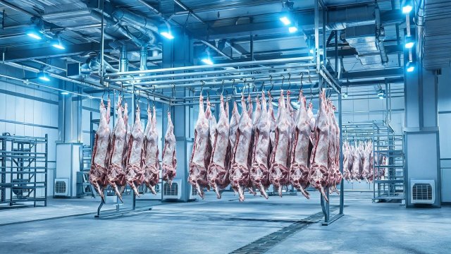 羊肉冷库维修方案制定指南：从诊断到验收全流程