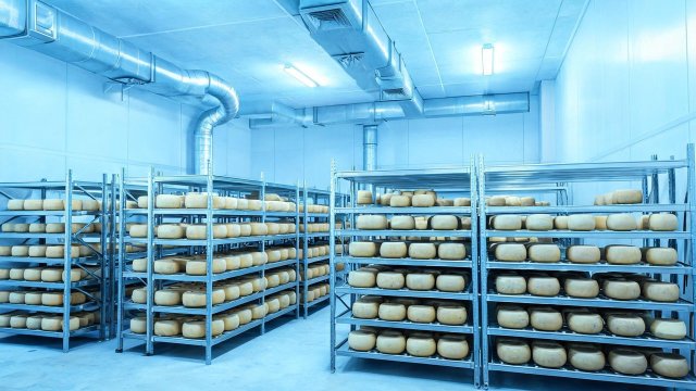 奶酪冷库频繁启停应急处理与预防措施