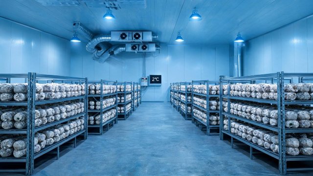 食用菌冷库频繁启停应急处理与预防措施