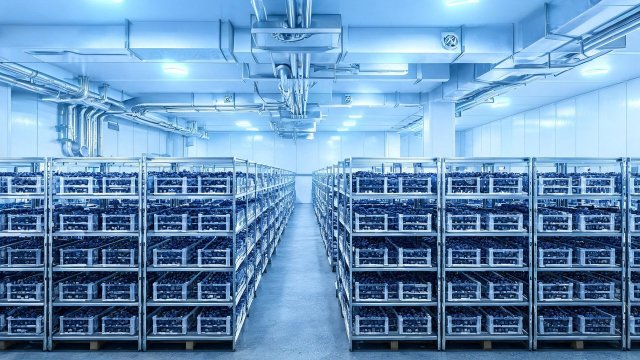 蓝莓冷库维修方案制定指南：从诊断到验收全流程