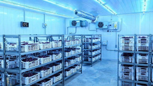 葡萄冷库频繁启停典型案例与解决方案