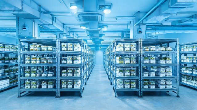 种子冷库日常保养清单：延长设备寿命的关键步骤