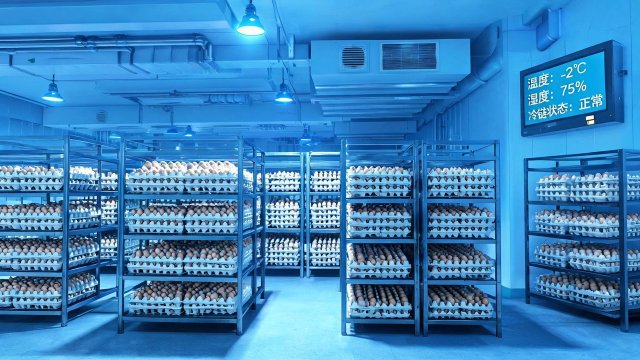 禽蛋冷库日常维修清单：延长设备寿命的关键步骤