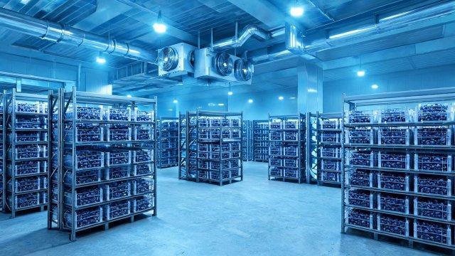 蓝莓冷库常见故障排查与巡查要点：老刘15年实战总结