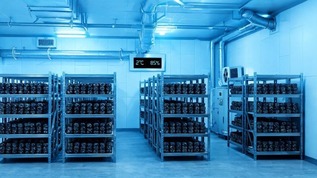 食用菌冷库频繁启停典型案例与解决方案