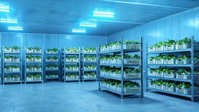 蔬菜冷库常见故障排查与检查要点