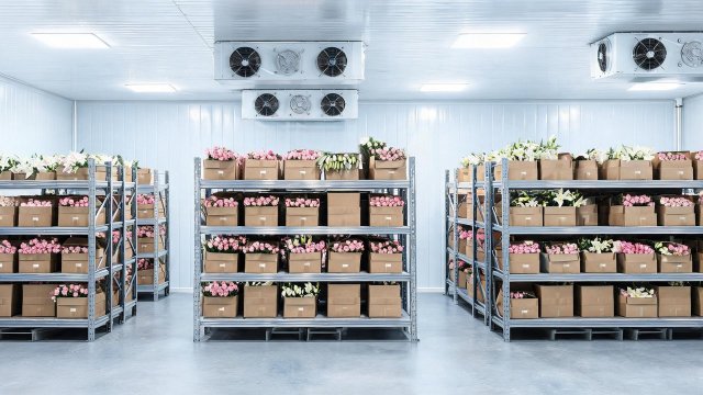 花卉冷库维修规范与注意事项：师傅实测案例+温湿度参数表