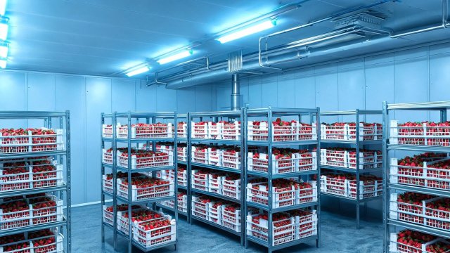 草莓行业冷库跳闸典型案例与解决方案