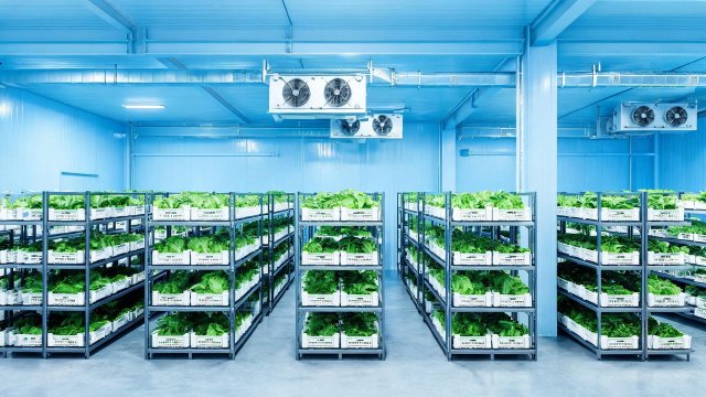 蔬菜冷库日常保养清单：延长设备寿命的关键步骤