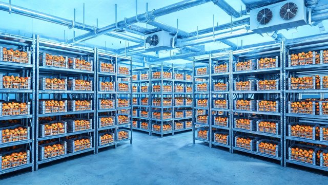 柑橘冷库制冷效果差应急处理与预防措施