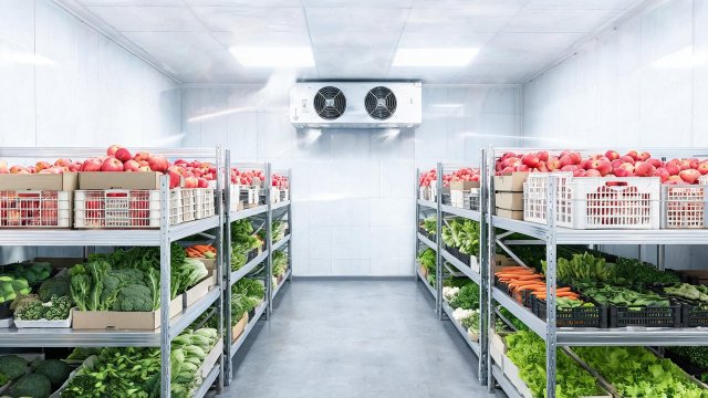 生鲜冷库异味应急处理与预防措施