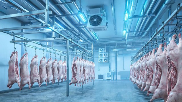 猪肉冷库日常维保清单：延长设备寿命的关键步骤