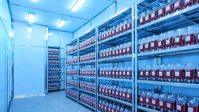 血液制品冷库日常年检清单：延长设备寿命的关键步骤