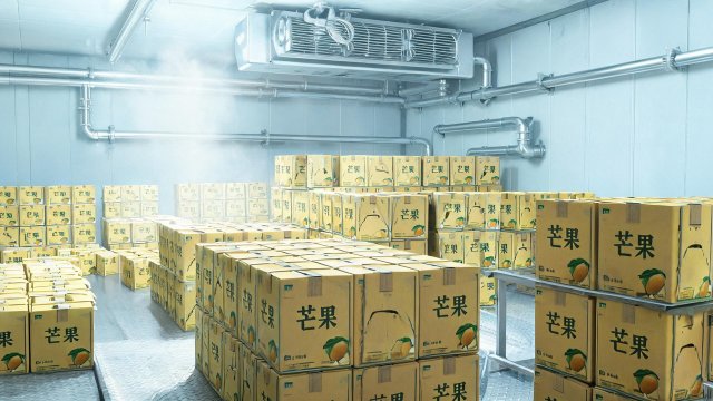 芒果冷库日常修理清单：延长设备寿命的关键步骤