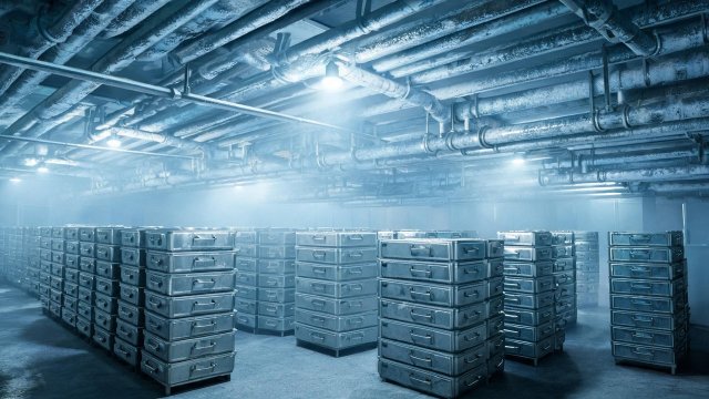 水产养殖冷库制冷效果差怎么办？应急处置与预防措施全指南