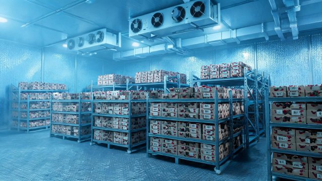 樱桃冷库耗电量大怎么办？刘师傅：先别乱调温度，按这 6 步排查