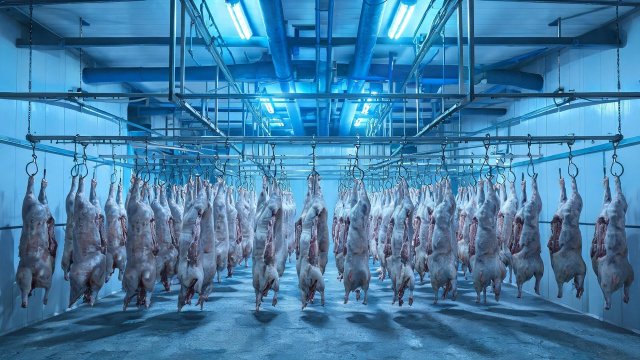 猪肉冷库常见故障排查与维修要点：温度降不下来？一步步找原因
