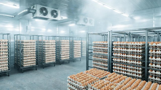 鸡蛋冷库维保年度费用全解析：从设备清单到预算规划
