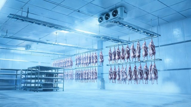 羊肉冷库常见故障排查与维修要点：温度、化霜、高压报警一次讲清
