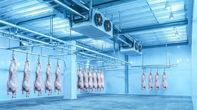 猪肉冷库日常修理清单：延长设备寿命的关键步骤