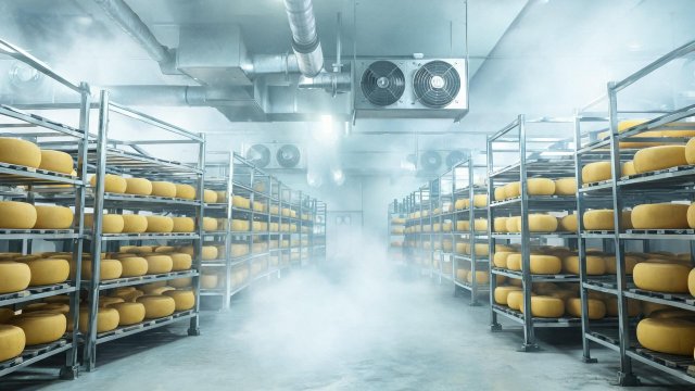 奶酪冷库日常维护清单：延长设备寿命的关键步骤