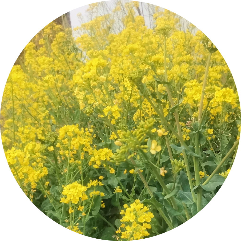 冷库安装、维修