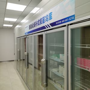 大熊 - 项目案例