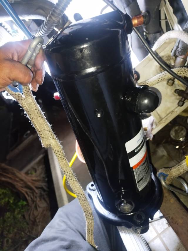 跃龙冷库服务案例