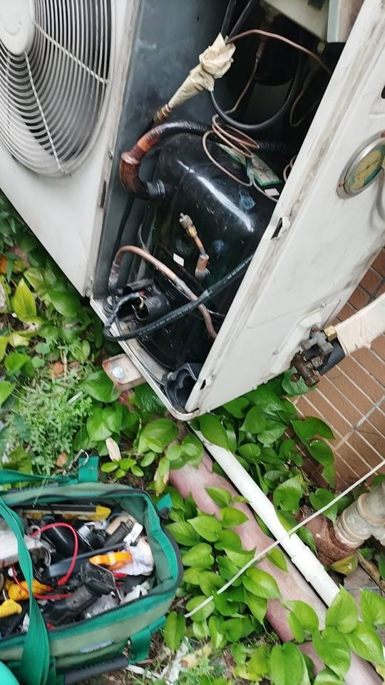 跃龙冷库服务案例