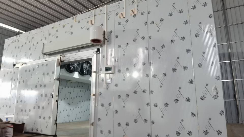 冰川制冷服务案例