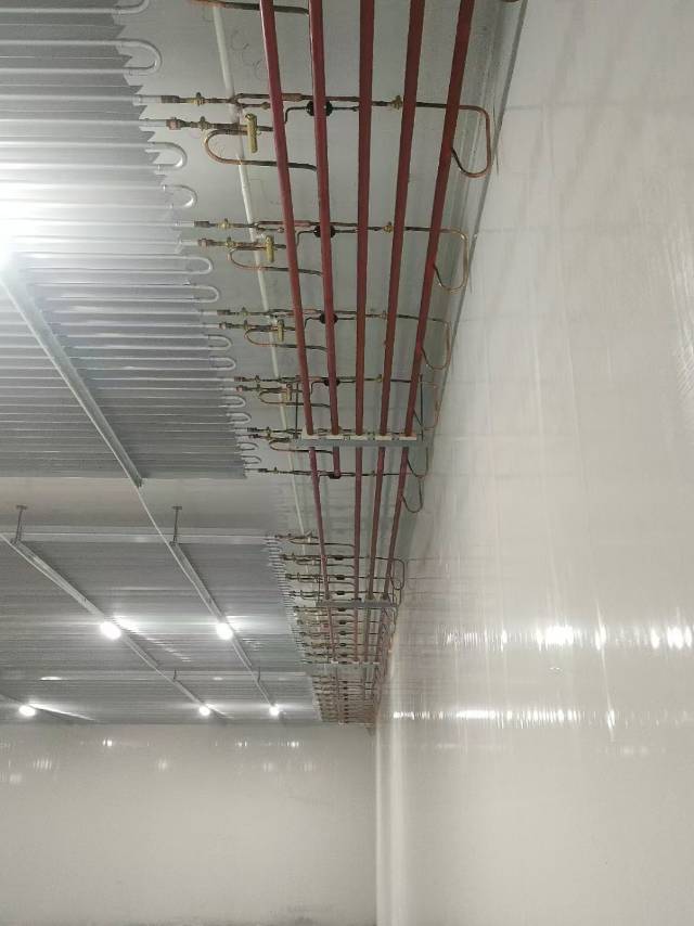 比泽尔复盛汉钟莱复康服务案例