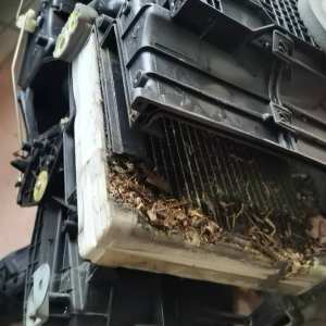 广宁冷库服务-华记制冷设备维修13542934 服务案例